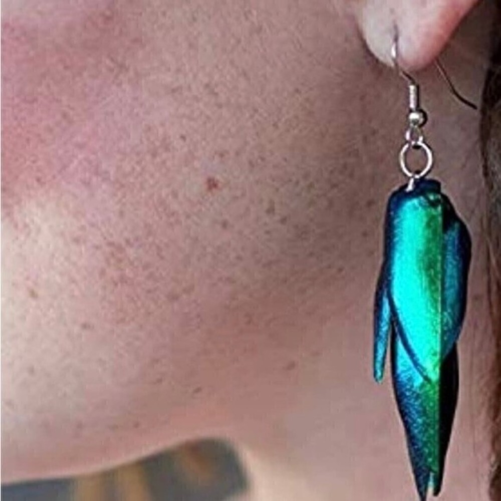Jewel beetle wings drilled for jewelry making - Picture 6 of 8